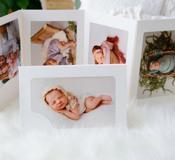 Biały album harmonijkowy